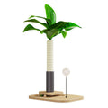 Wooden cat scratching post in canna colour with vertical durable design