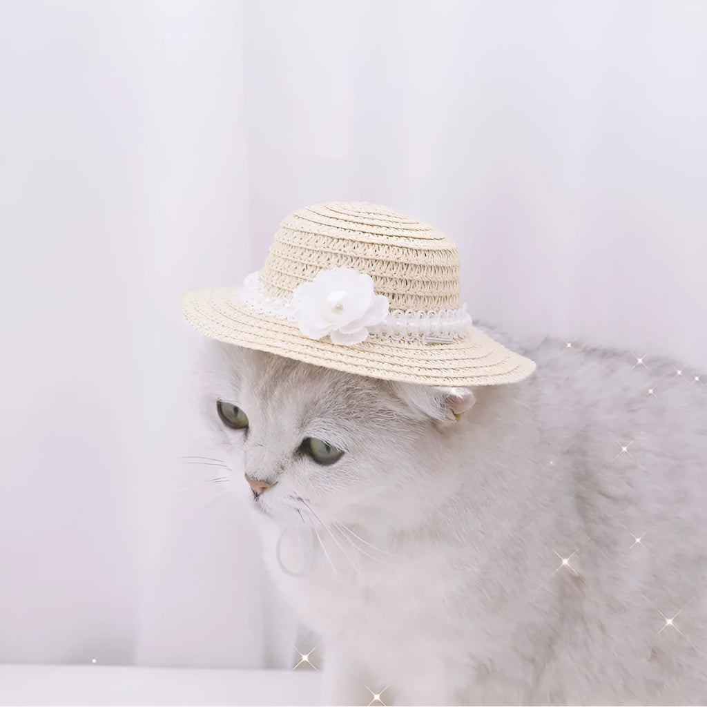 Handmade adjustable bowknot paper hat for dog or cat showing cartoon style design