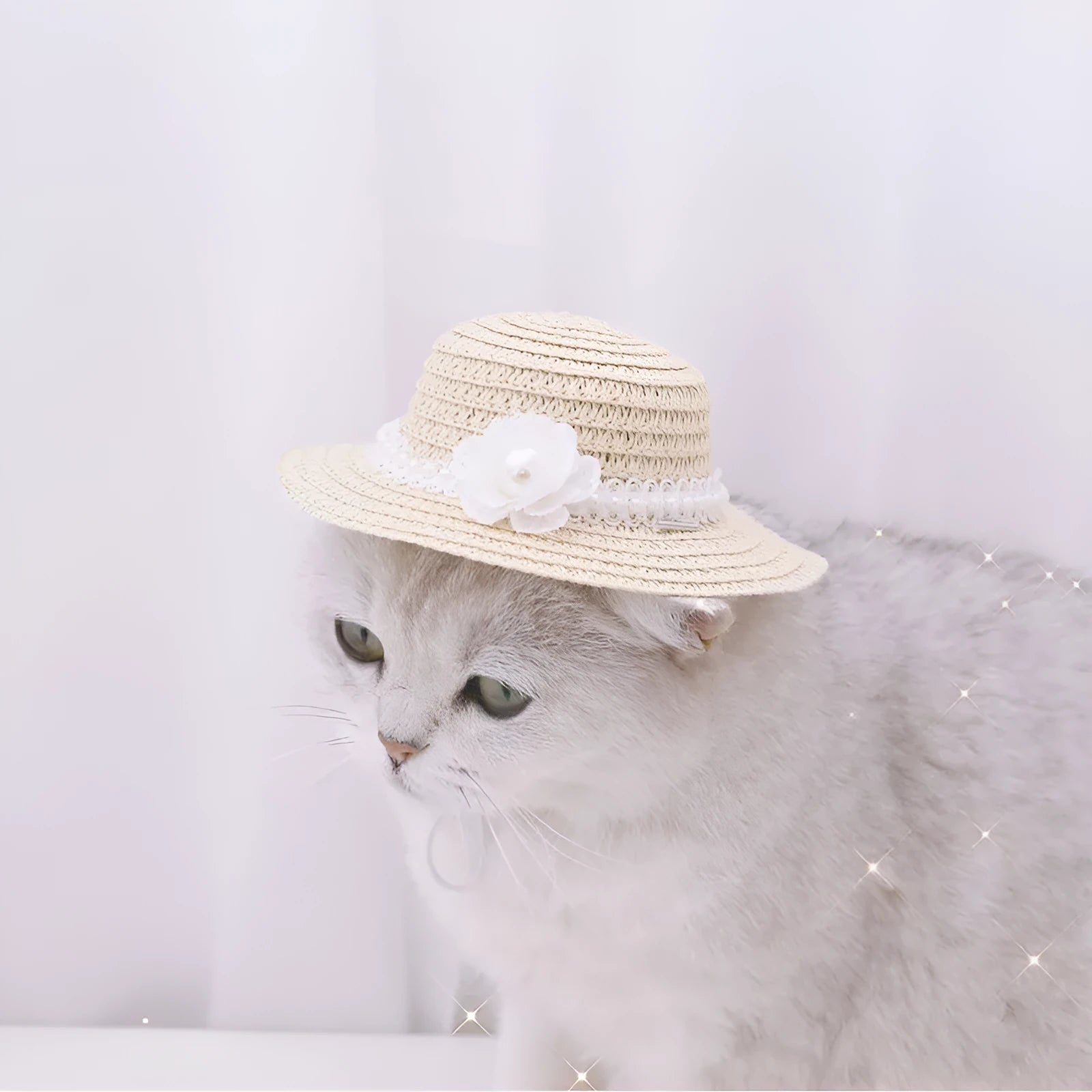 Handmade adjustable bowknot paper hat for dog or cat showing cartoon style design