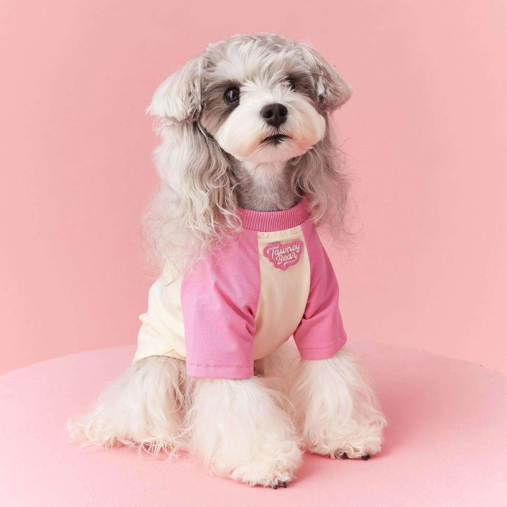 Cotton summer dog clothes in red or pink with contrast design, sizes XS to XXL