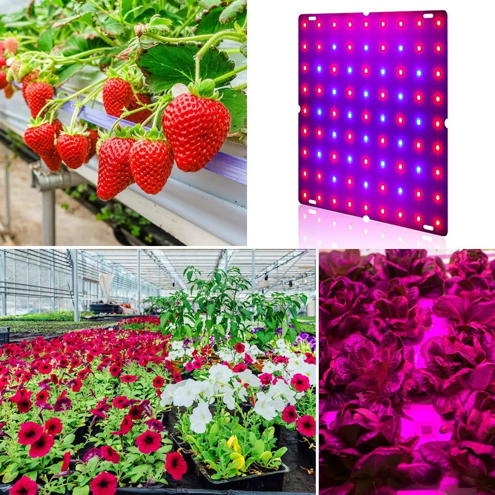 Aluminium shell LED plant grow light with a hanging hook for indoor fruit and vegetable cultivation.