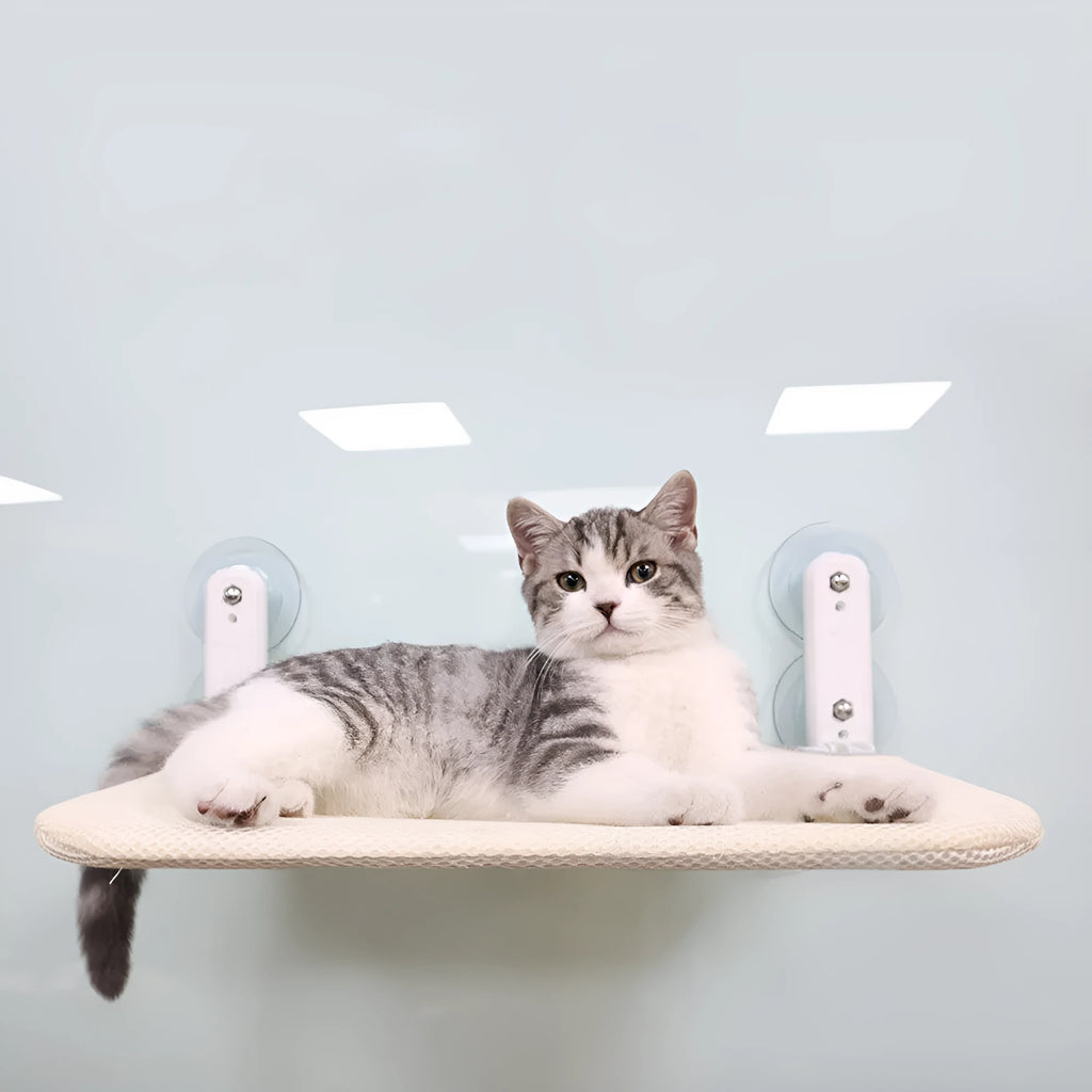 Cat lying on a grey mesh hammock seat attached to a window with suction cups.