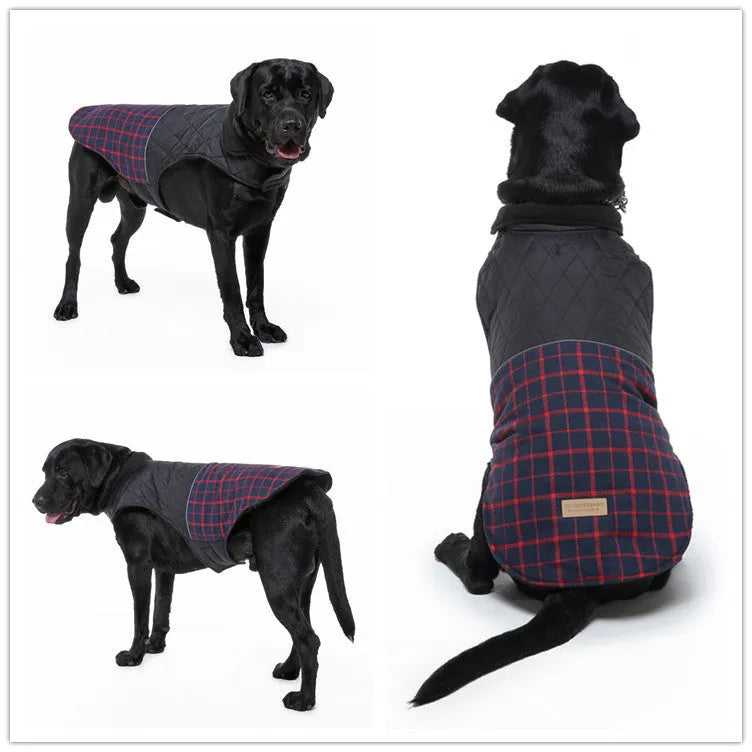 Reflective dog coat in blue-green with breathable mesh chest and alloy harness fasteners