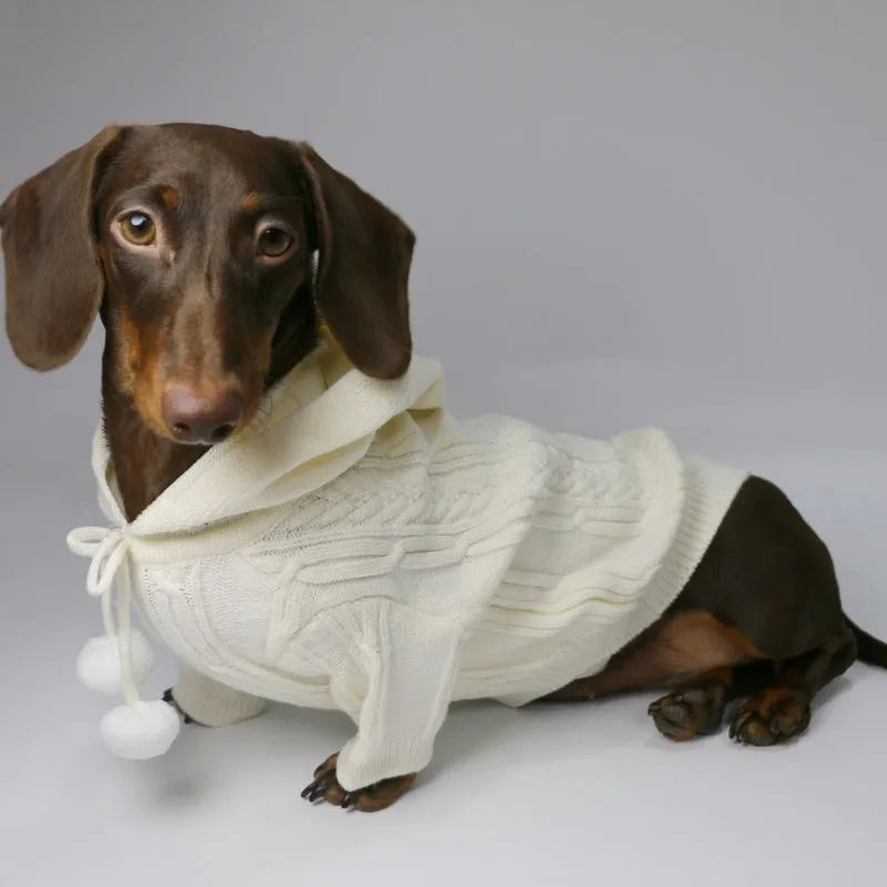 Pet hooded sweater for dogs, two-leg design, blended fabric, sky blue and beige colours, sizes XS to XL