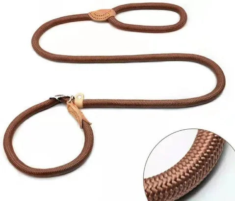 Brown nylon dog leash with a metal P-chain integrated into the handle loop.