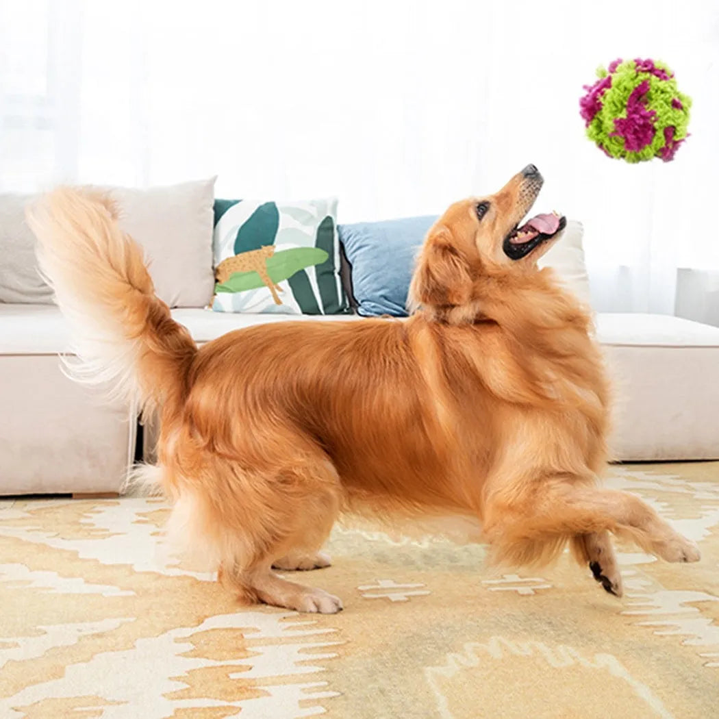 Purple plush dog knots seaweed ball toy with approximately 15cm diameter for chewing and fetch games