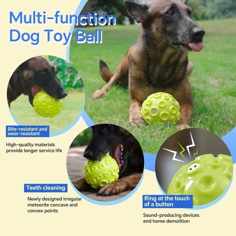 Durable natural rubber dog chew toy ball in assorted colours with a textured surface.