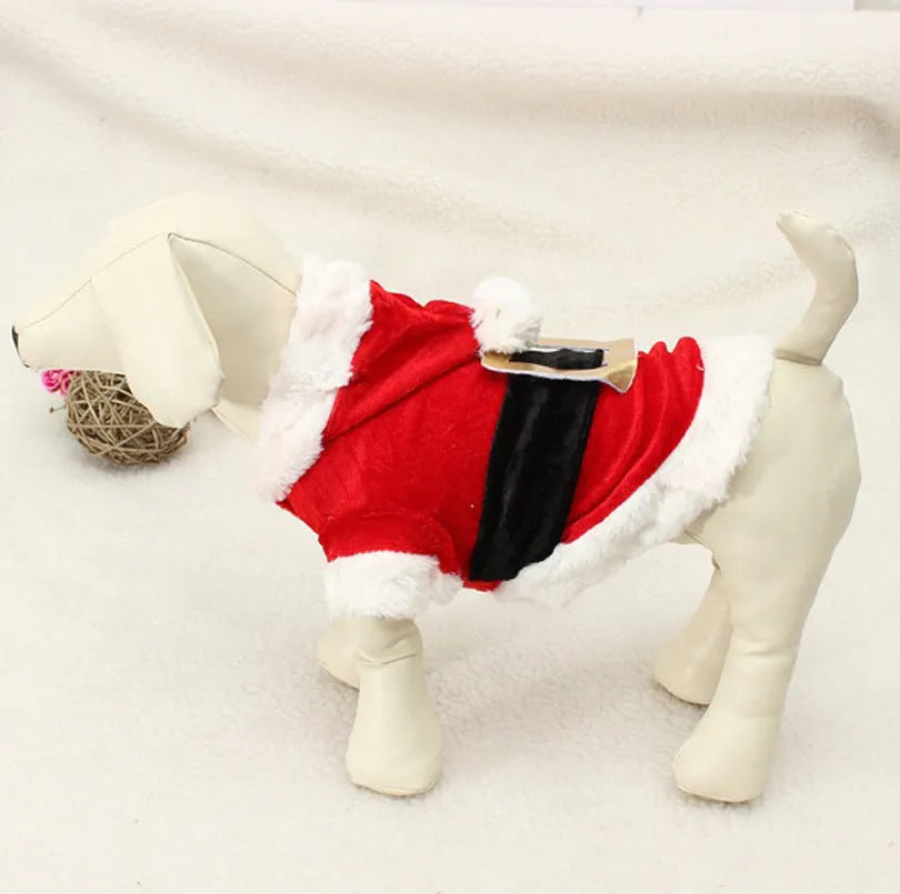 Red acrylic knit dog Christmas clothing in Red Clothes style, lying on a white background