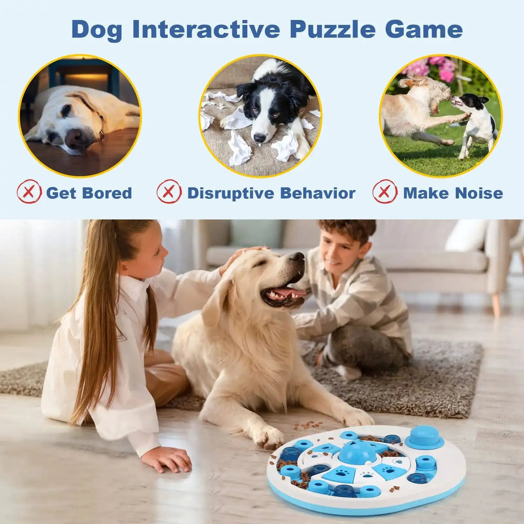 Dog puzzle toy with spherical bells and 24 hidden food compartments in blue and red colours on a light background