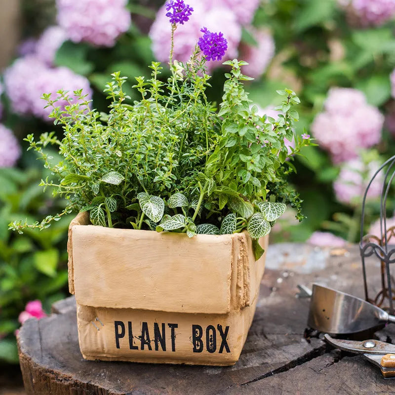 Cement flowerpot with brown paper box design and drainage holes for indoor planting
