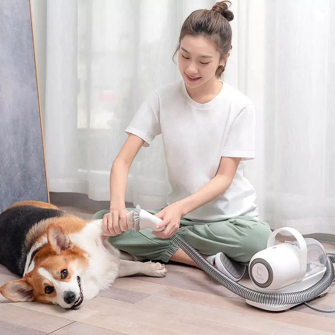 Pet multifunctional groomer in white with hair clipper, electric scissors, and accessories on surface