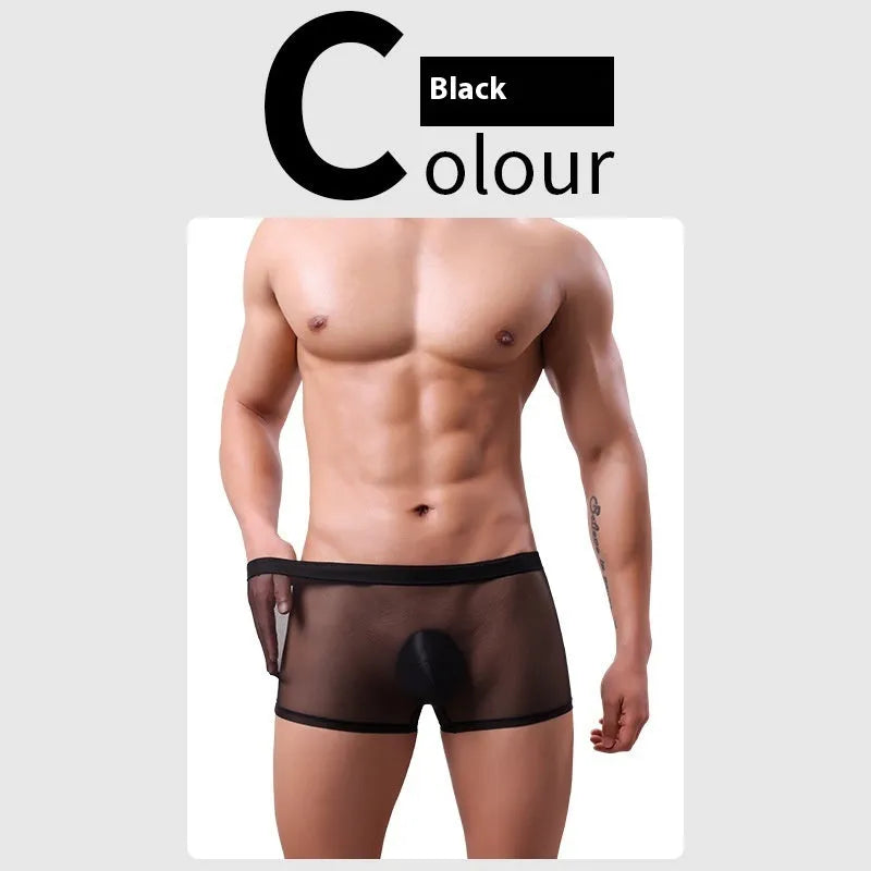 Men's mesh boxer briefs in thin sheer polyester fabric showing low waist design