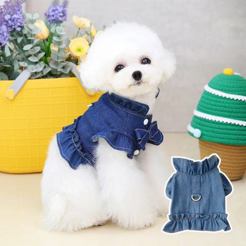 Blue denim dog dress with ruffles vest design and leash hook attachments