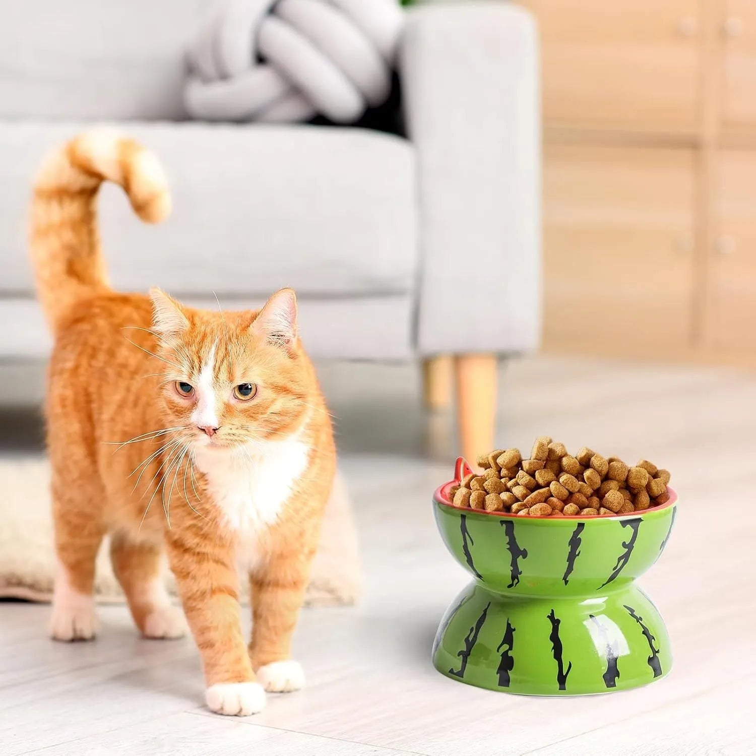 Ceramic raised cat bowl with tilted design in orange, pitaya, or watermelon pattern