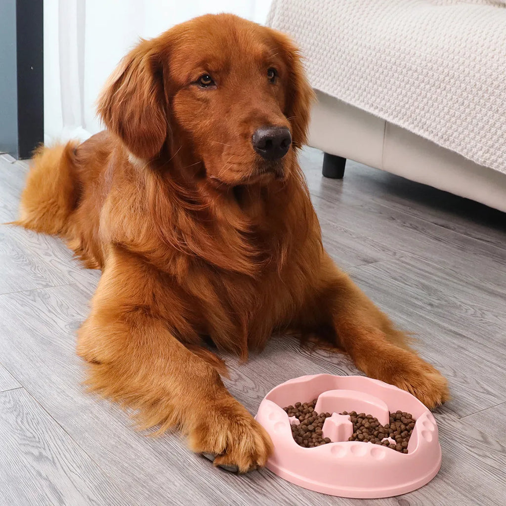 Moon Star Wings slow feeder dog bowl in blue colour with raised centre and non-slip base.