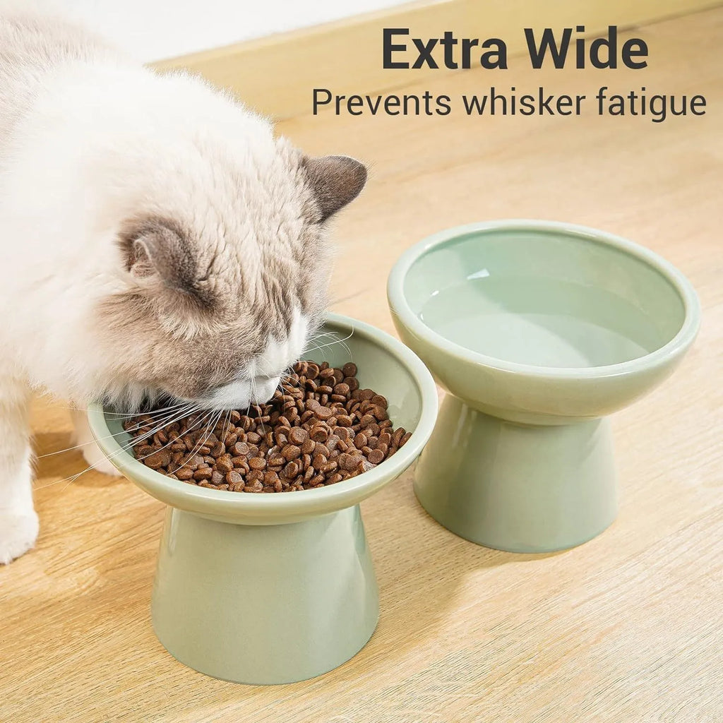 Ceramic elevated cat food bowl in blue, showing wide shallow dish on raised base.