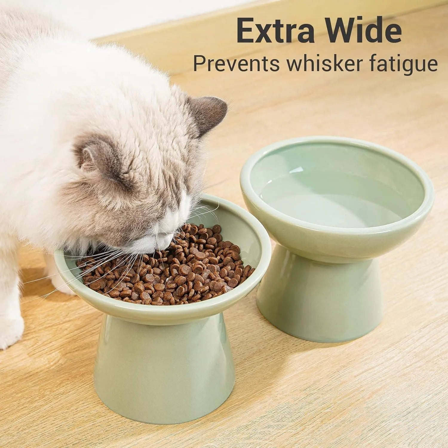 Ceramic elevated cat food bowl in blue, showing wide shallow dish on raised base.