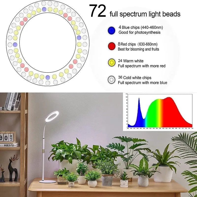 White 6-inch angel ring LED grow light on a retractable silver tripod stand for indoor plants.