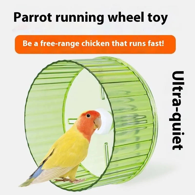 A plastic parrot exercise running wheel toy shown in transparent, green, grey, orange, or purple, available in 17cm and 21cm sizes.