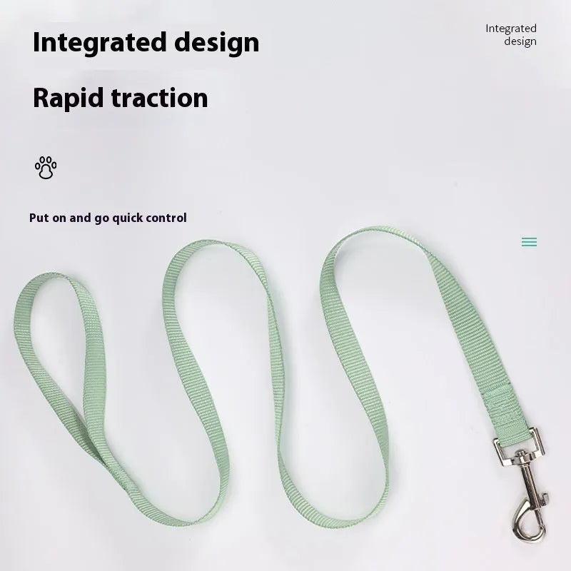 Solid colour polyester dog lead rope shown in blue, with a hand holding the loop and a dog clip at the other end.