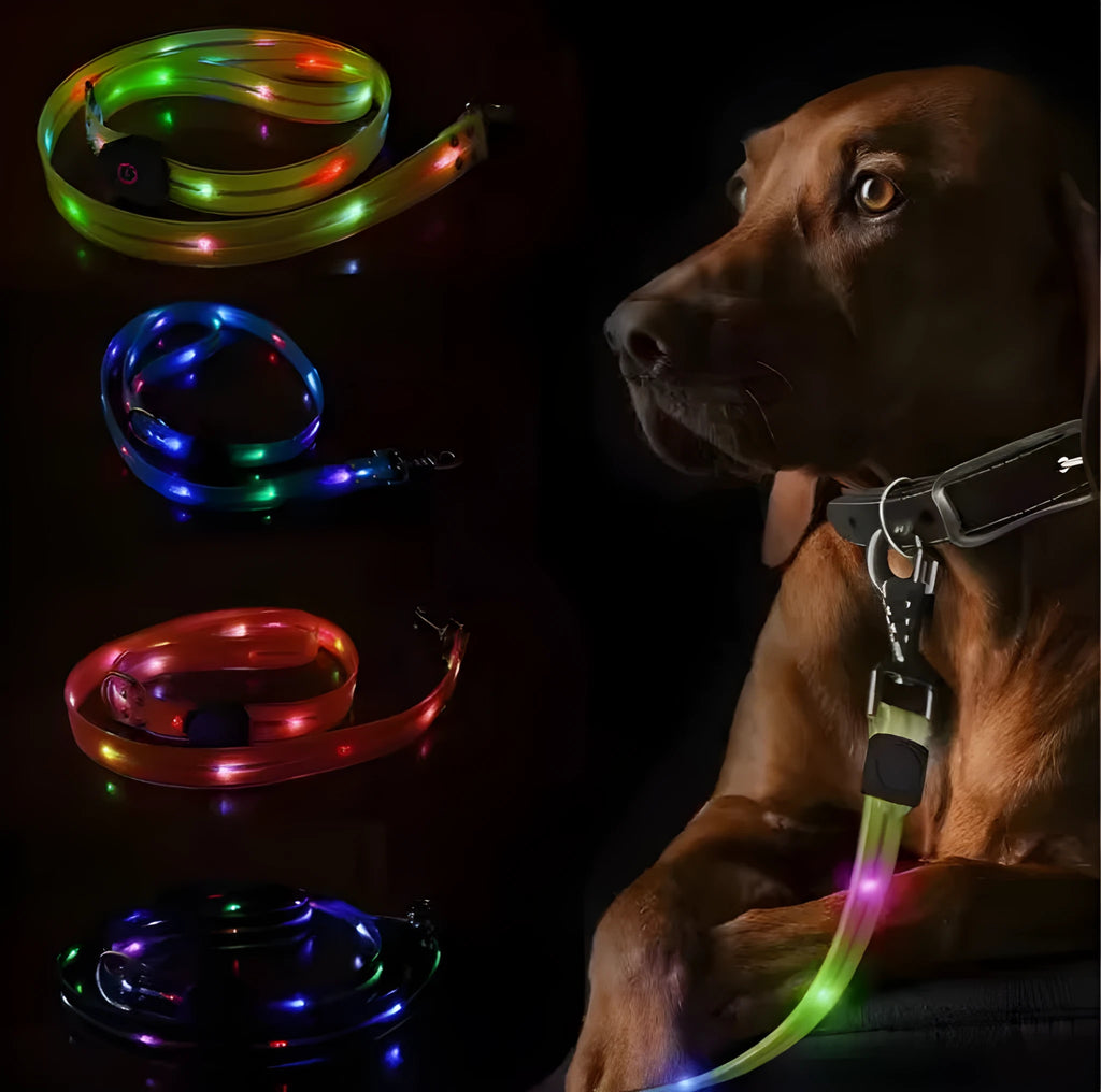 Luminous reflective dog leash in orange, 25x120cm PVC rope with hand-holding loop