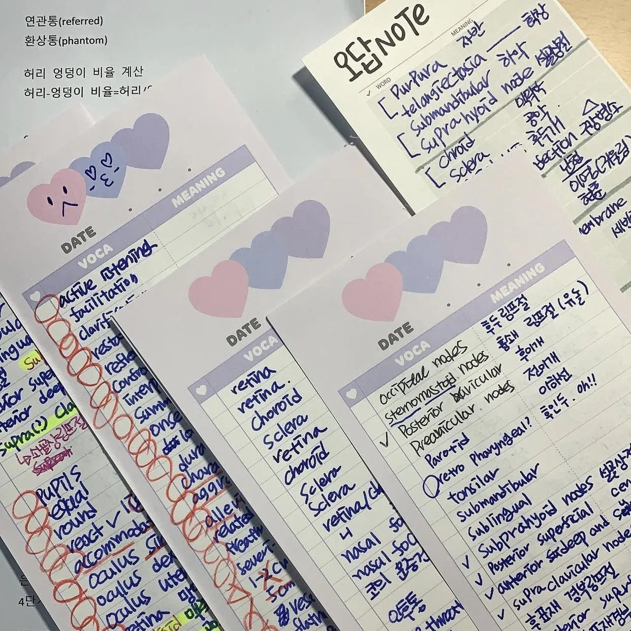 Vertical double-sided learning notepad with coloured cover in half B5 size 9.1x25.7cm