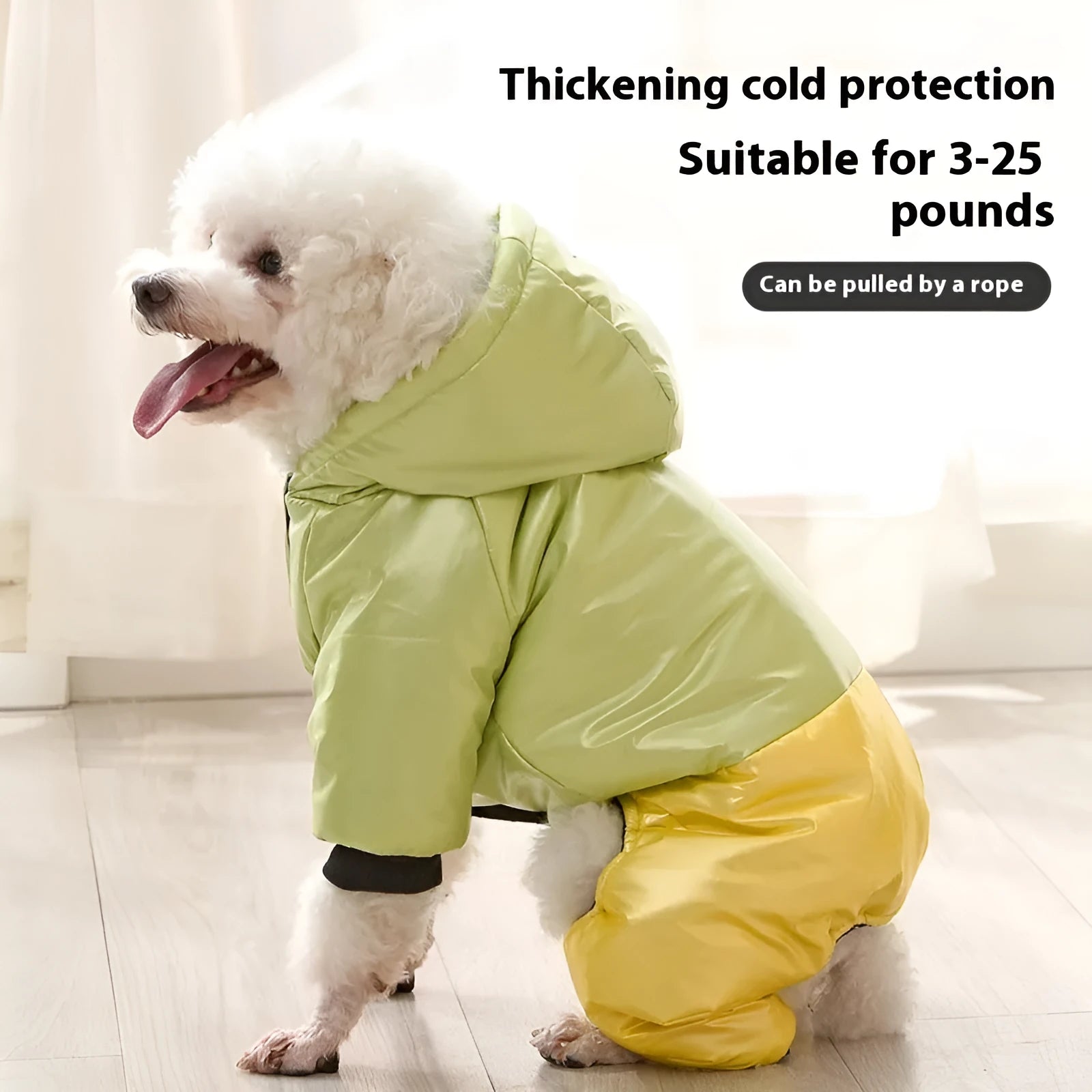 Green waterproof cotton padded dog coat on a large breed dog showing four-legged design.