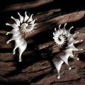 Women's exaggerated conch design earrings with three-dimensional matte finish in alloy with electroplated coating