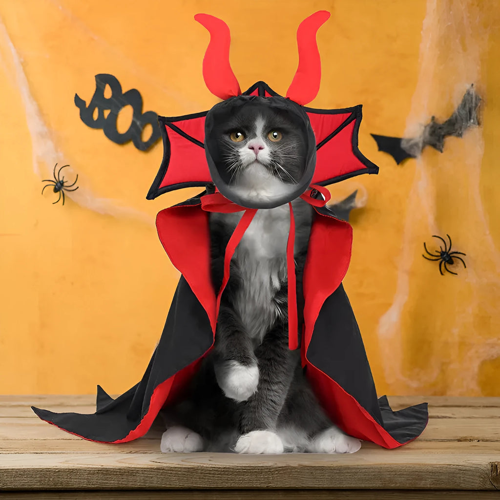 Pet Halloween vampire cloak and hat set in black polyester