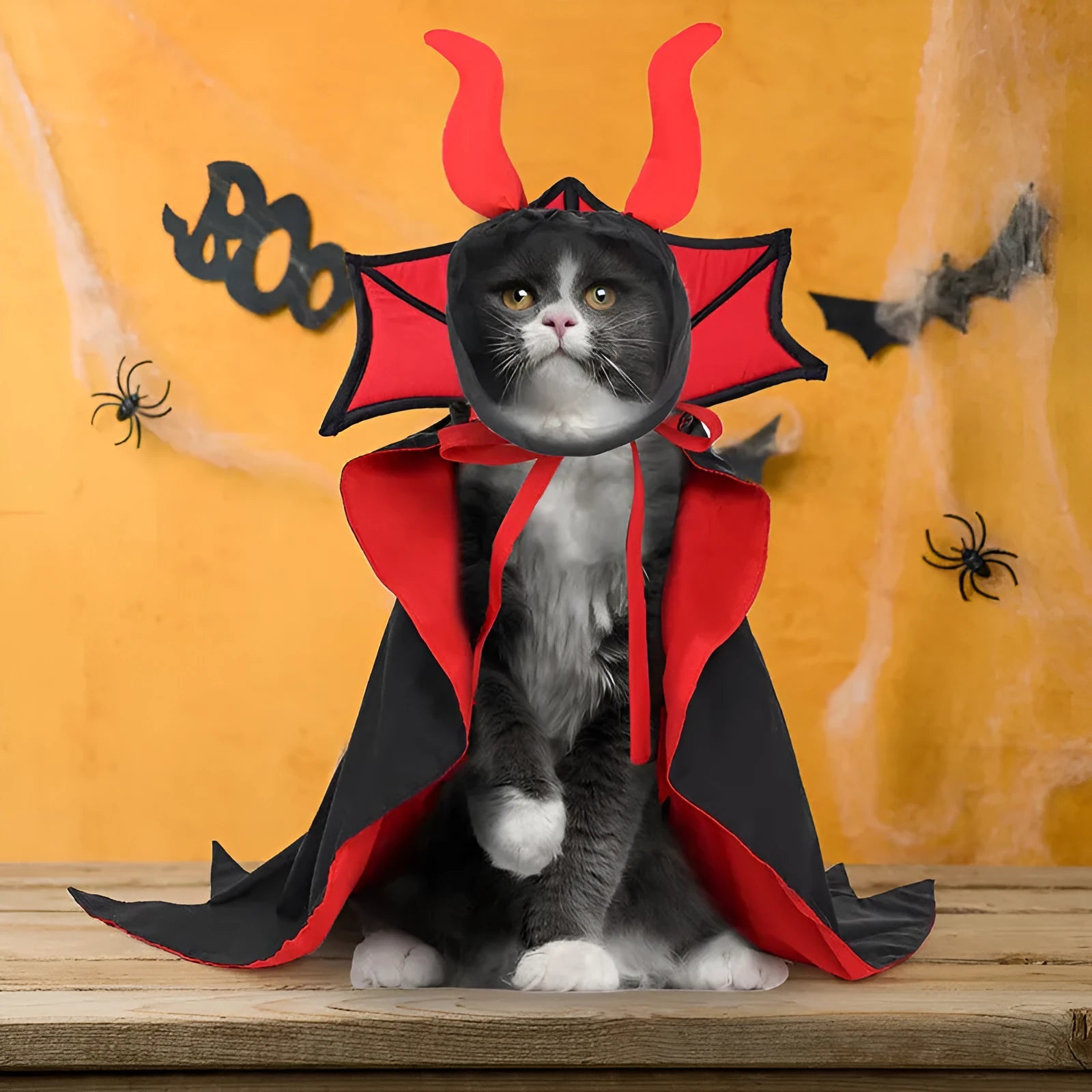 Pet Halloween vampire cloak and hat set in black polyester