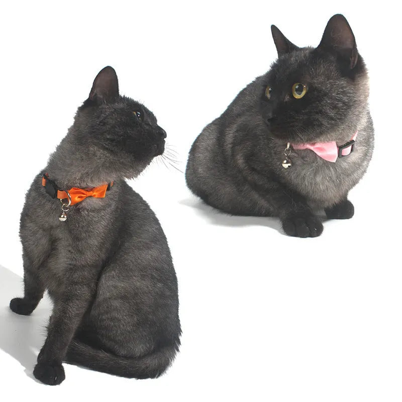 Multi-colour striped nylon bow collar with bell for cats on adjustable ribbon