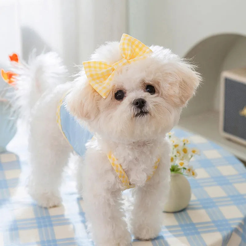Small dog wearing a blue elastic vest with heart texture, suspenders, and a bow.