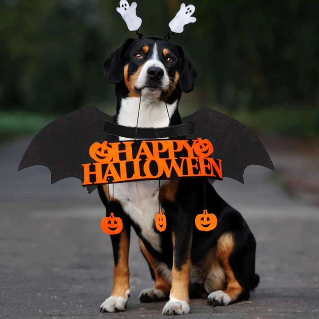 Small dog wearing a black bat costume with luminous skeleton bone wings against a Halloween background