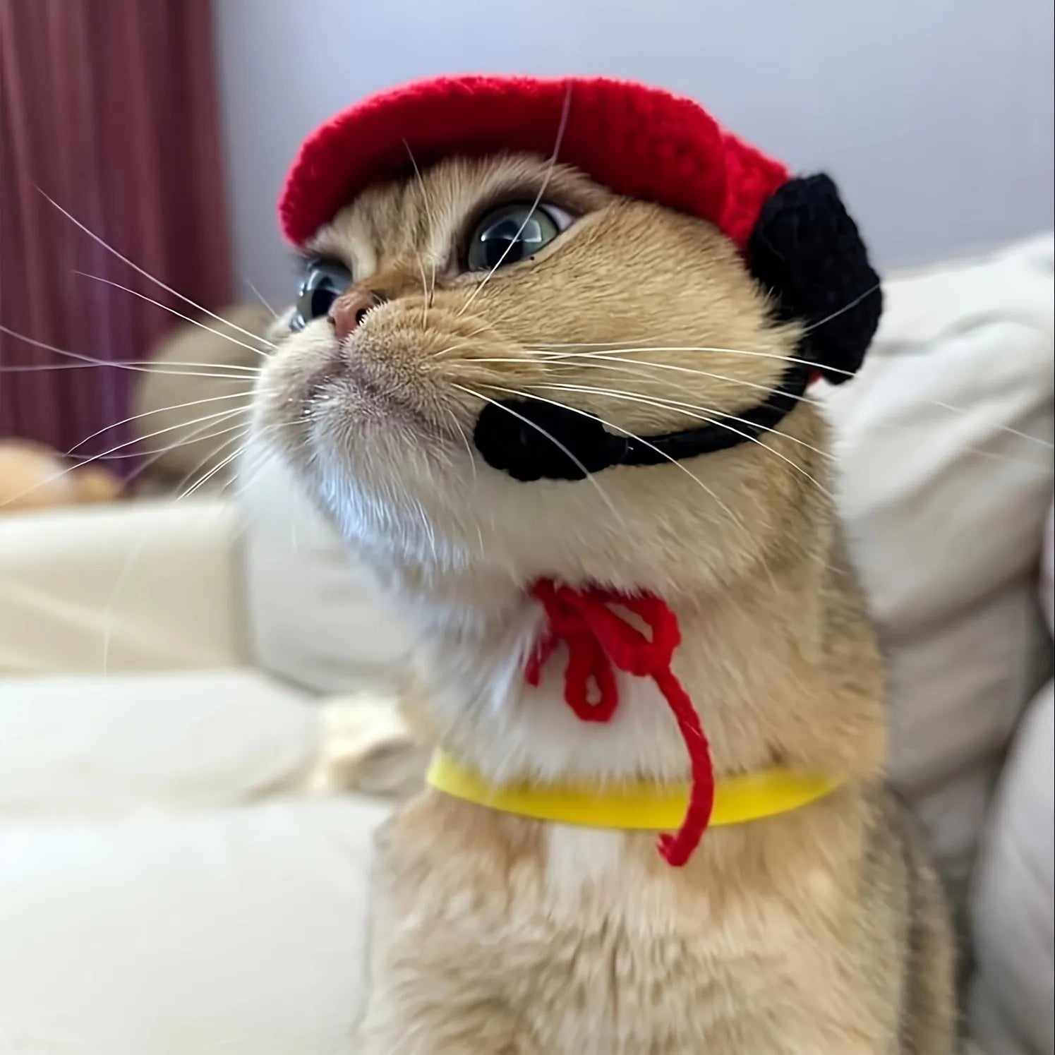 Handmade white cotton chef hat and matching knitted sweater for small to medium cats and dogs