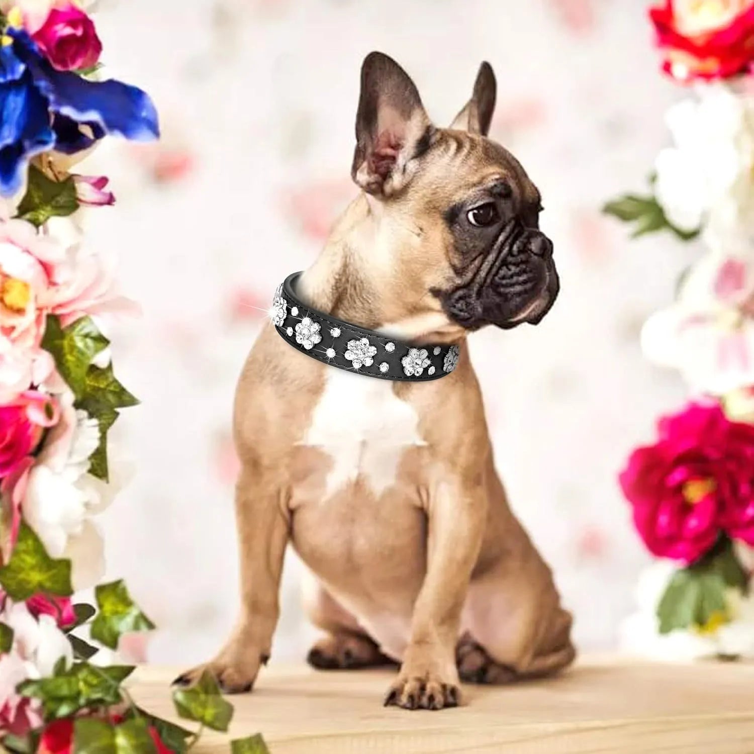 Cute PU leather dog collar with rhinestone flower pattern studs and metal D-ring in black, blue, pink, or red.