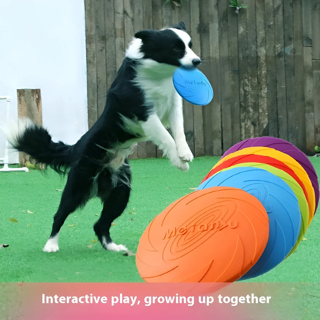 Soft rubber dog frisbee flying disc in blue, green and red colour options