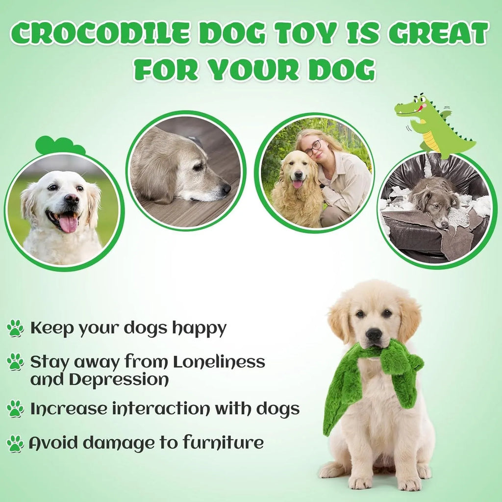 Green plush crocodile dog toy with no stuffing, featuring a squeaker head and crinkle paper tail.