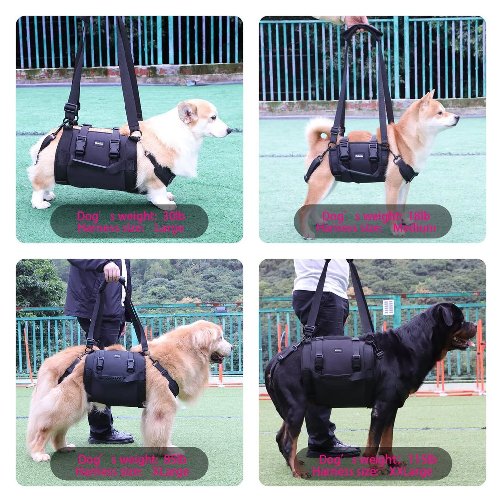 Black Oxford cloth dog harness with leg support straps shown on a dog model.