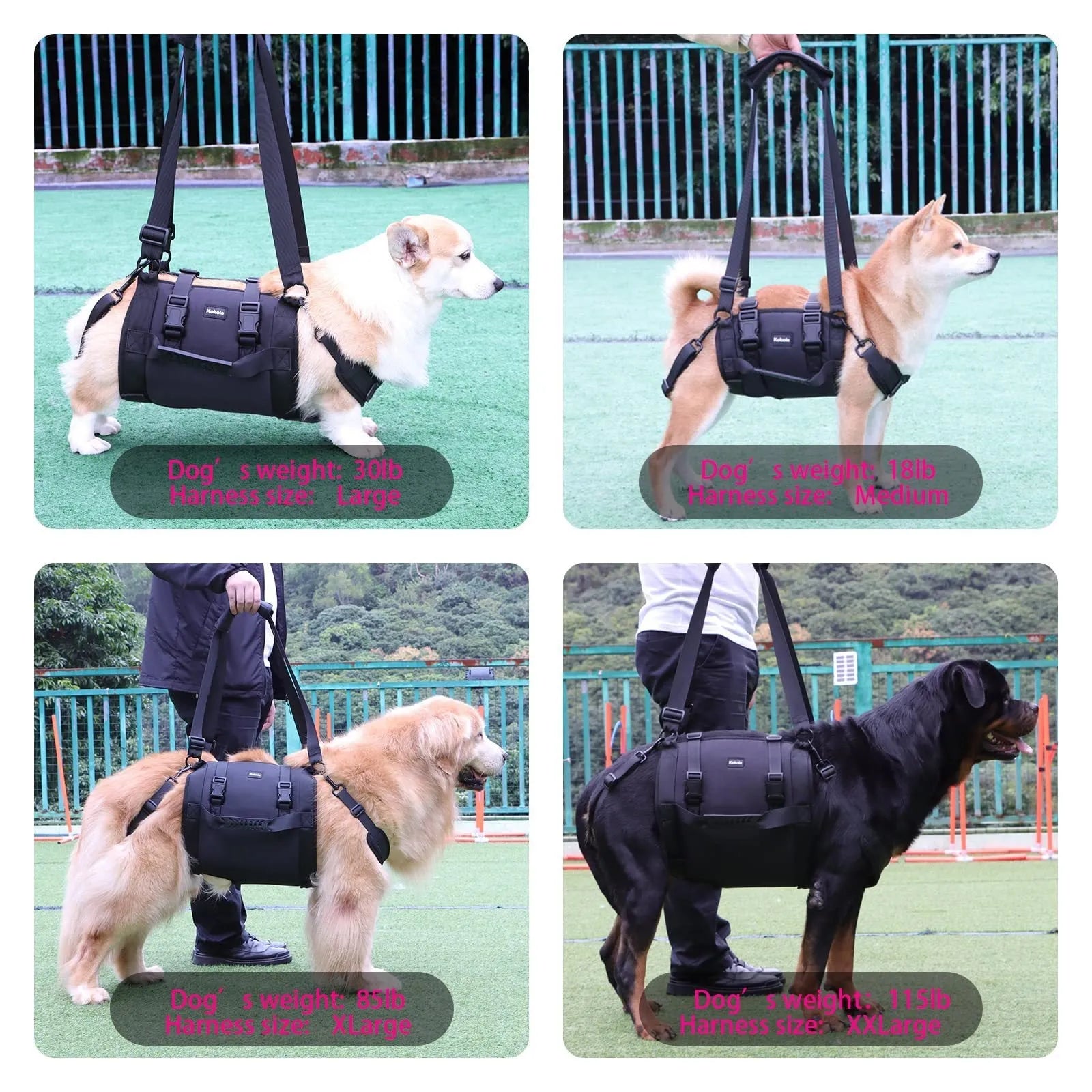 Black Oxford cloth dog harness with leg support straps shown on a dog model.