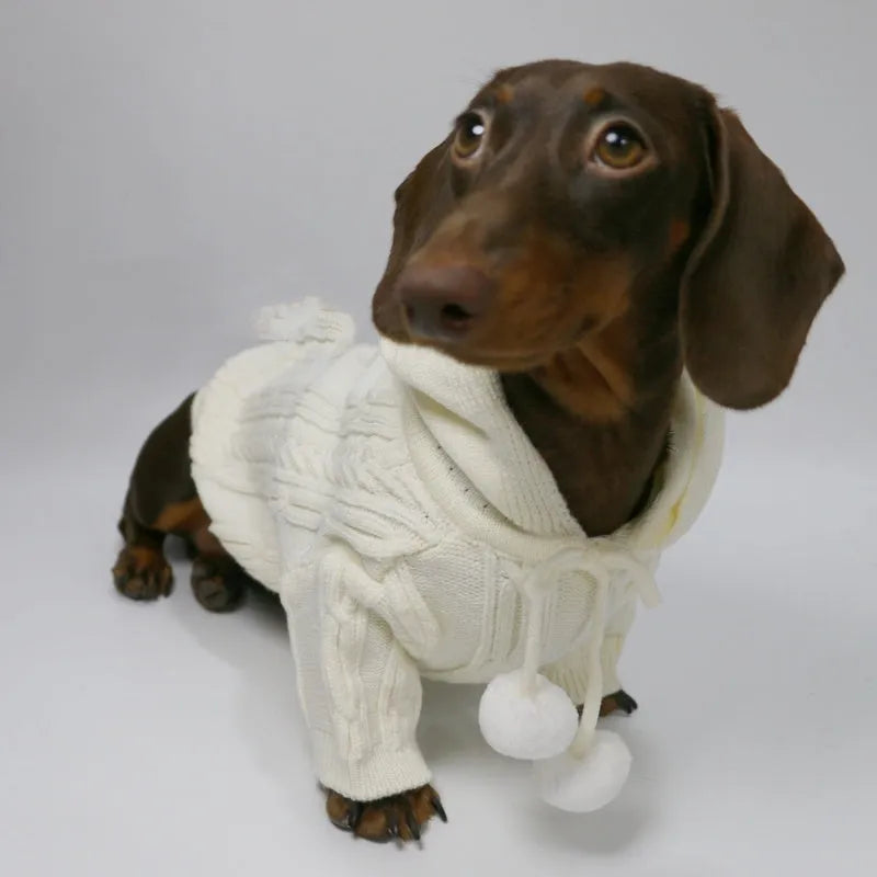Pet hooded sweater for dogs, two-leg design, blended fabric, sky blue and beige colours, sizes XS to XL