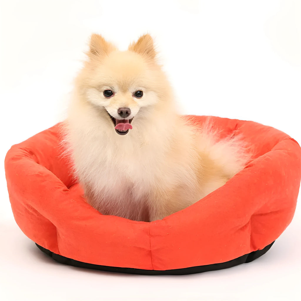 Blue cloth pet nest 50cm wide for small dogs and cats with 15cm rim height