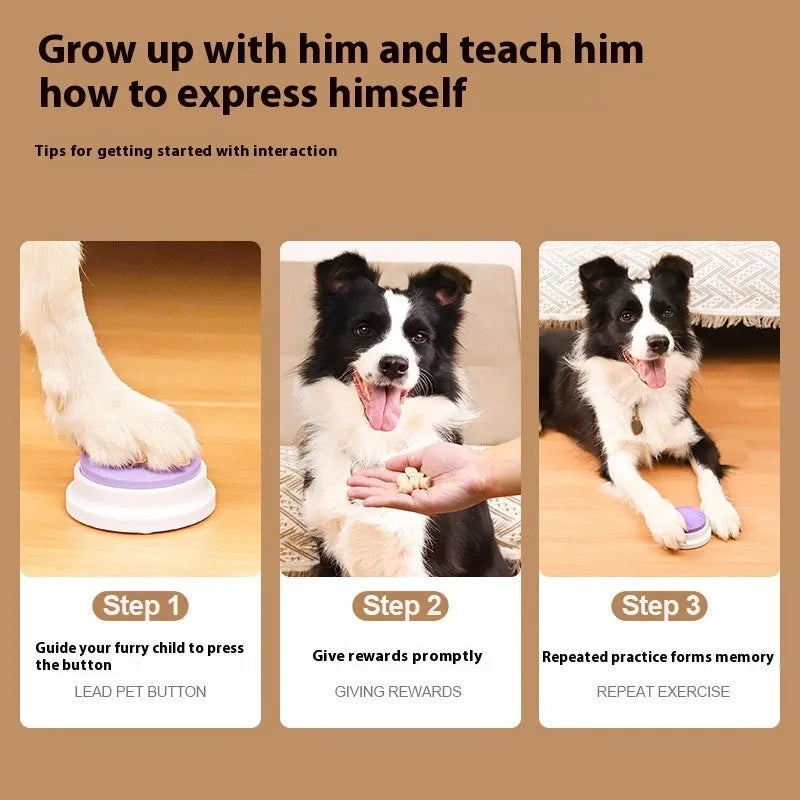 Plastic pet communication button dog voice toy in recording macaron purple on a flat surface