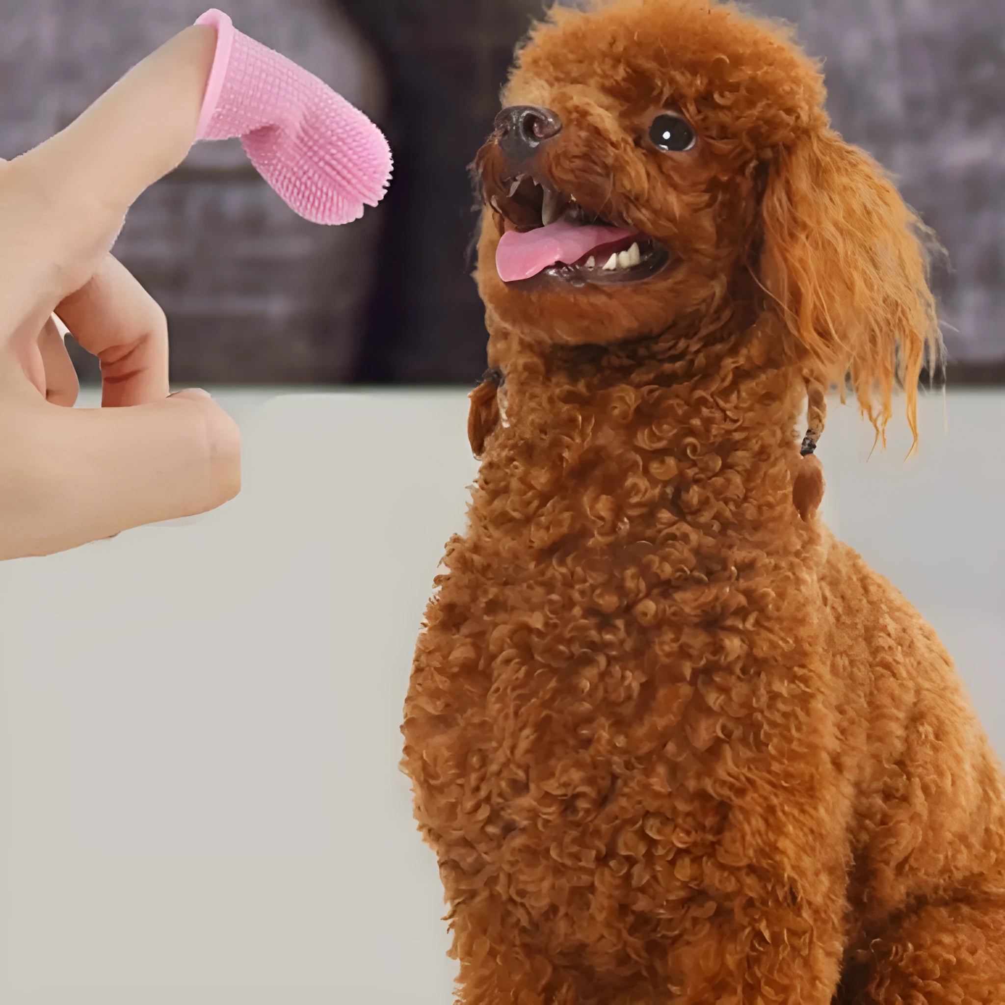 360-degree silicone finger toothbrush for dogs and cats in blue with soft bristles on a white background