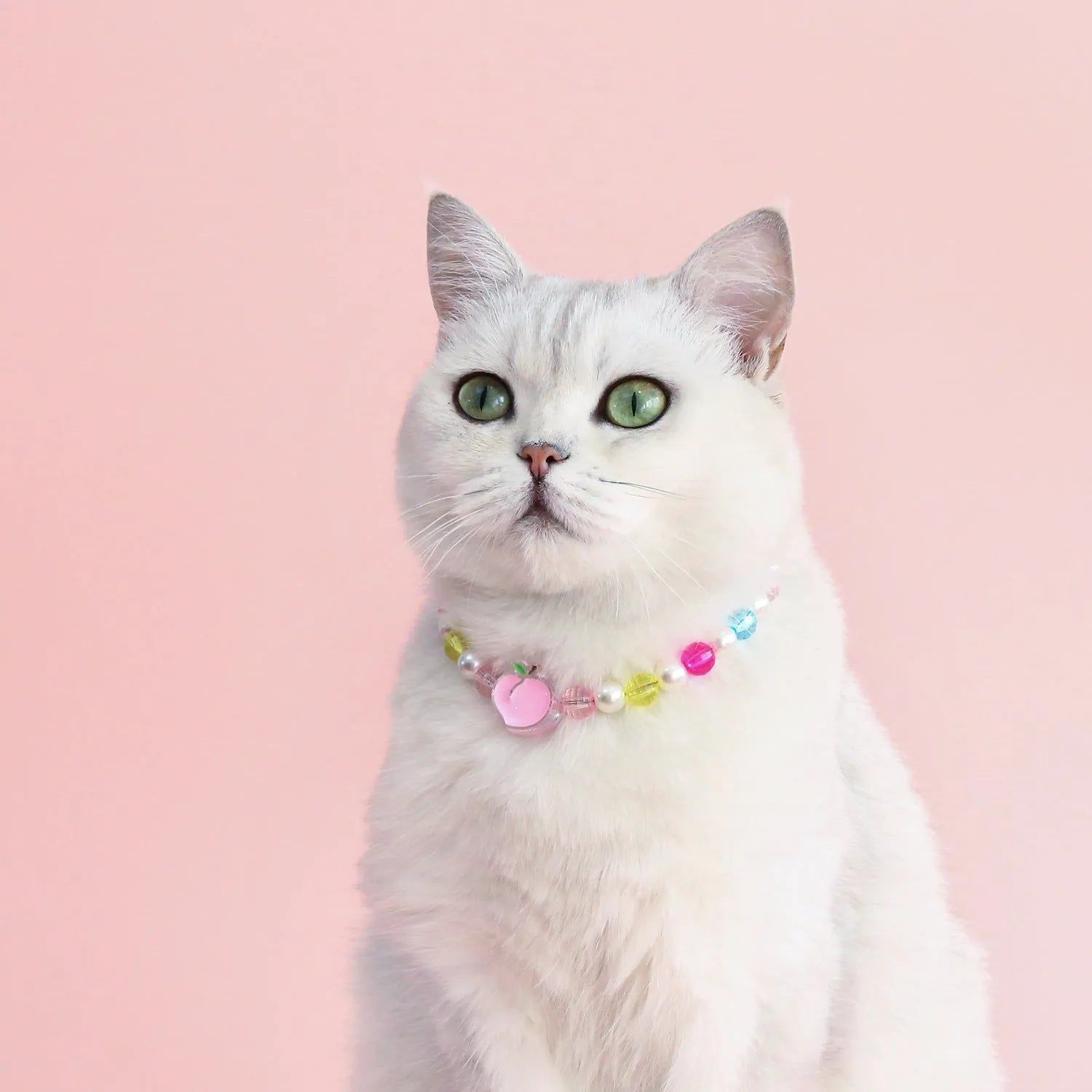 Colourful bead pet necklace for dogs and cats in rainbow, peach, or small flower patterns with adjustable sizing
